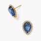 Sparrow Kyanite Studs